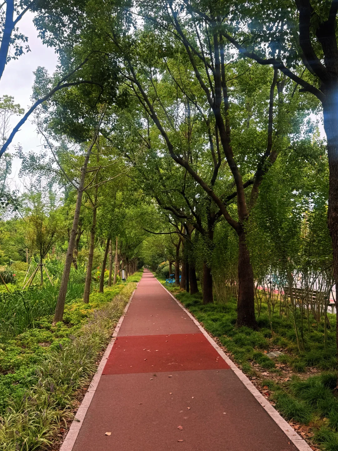 来欺骗一下身体，最近吃的喝的别囤起来，生活真的也没那么安逸🤣