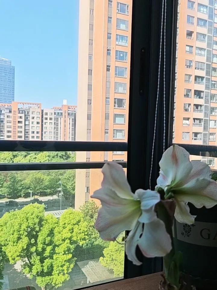 我家领导每天两次奔波在家和养老院，累的不行，晚上九点多就睡觉了。
这就是现在养老