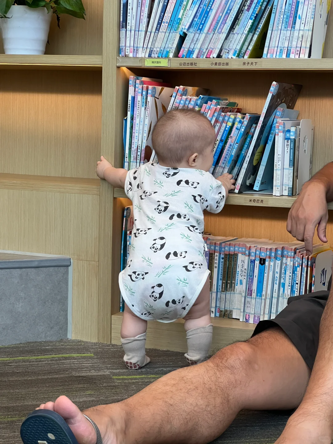 大家都给宝宝准备了什么秋装？