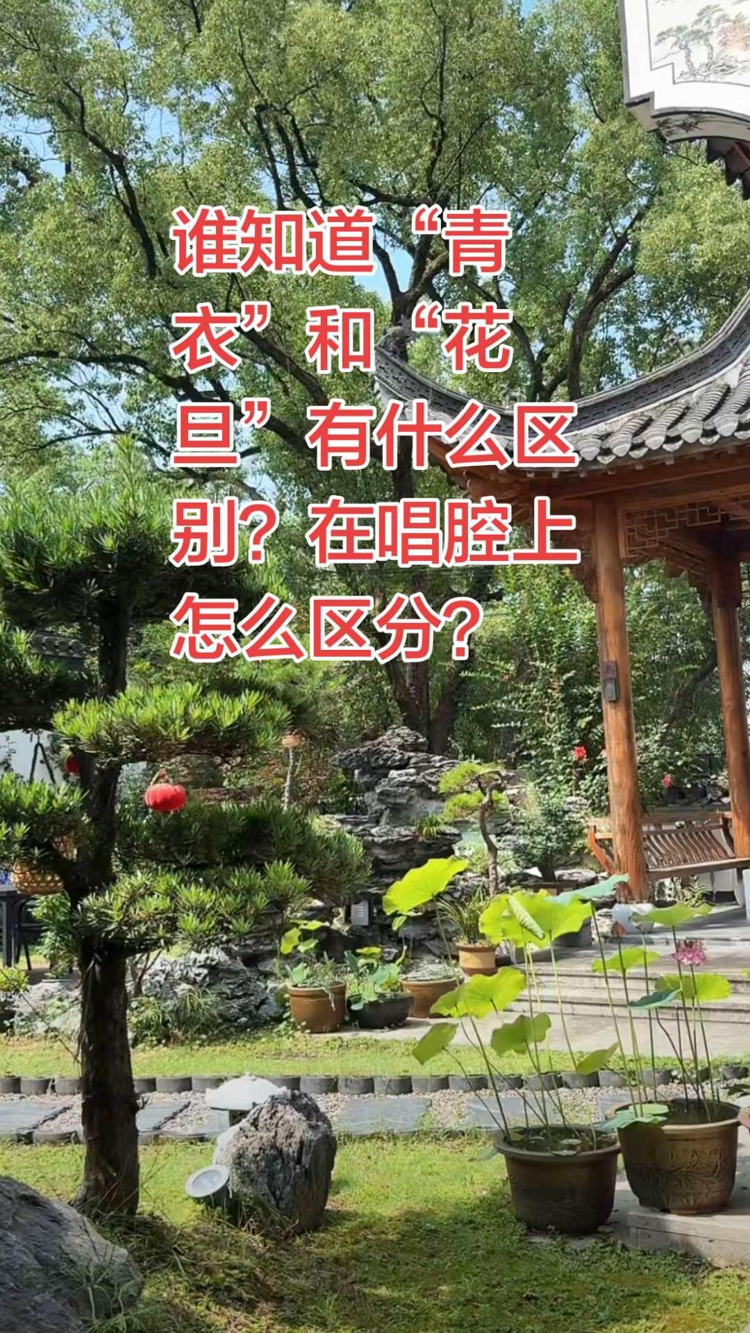 谁知道“青衣”和“花旦”有什么区别？在唱腔上如何区分？京剧 京剧青衣