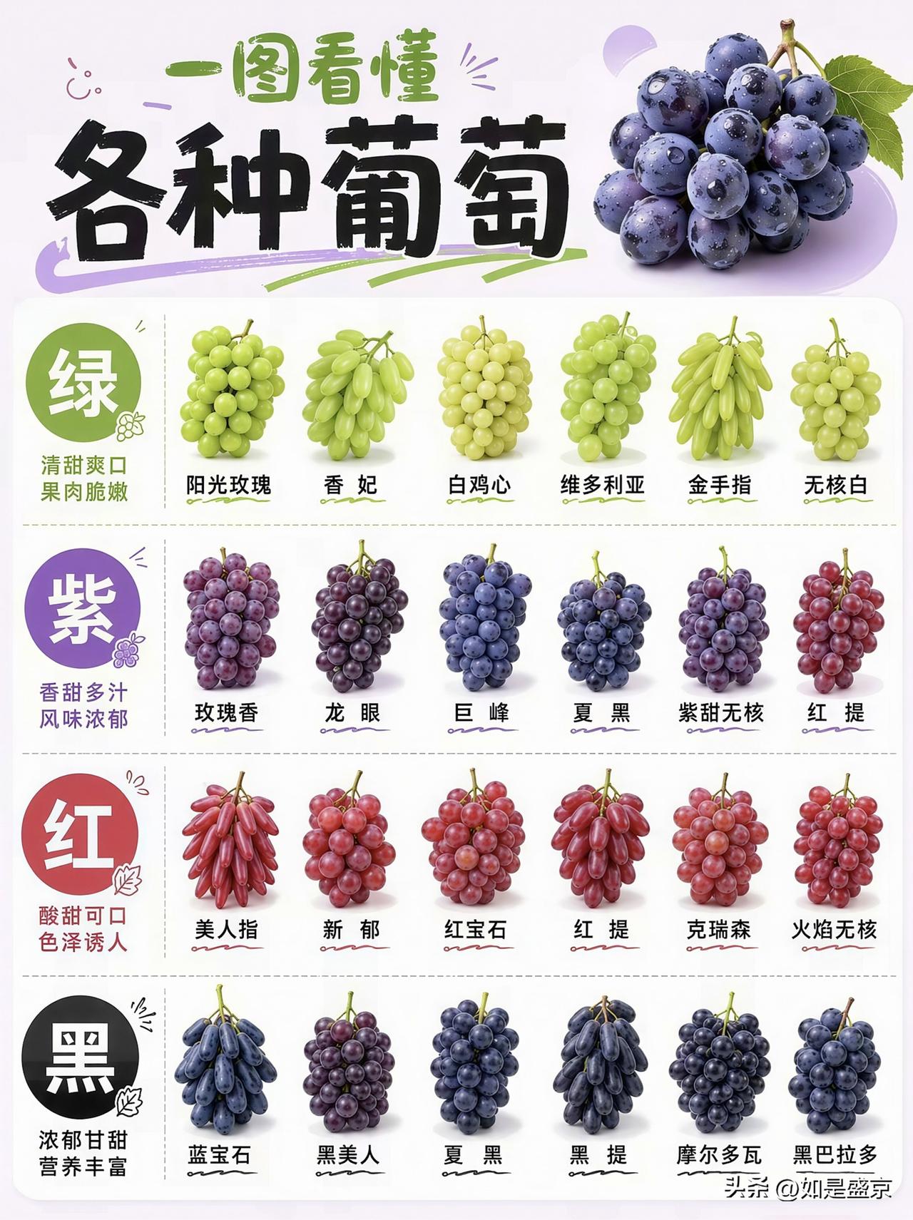 葡萄挑花眼？一张图分清市面常见品种，看完再也不买错！
 
一到夏天，水果店的葡萄