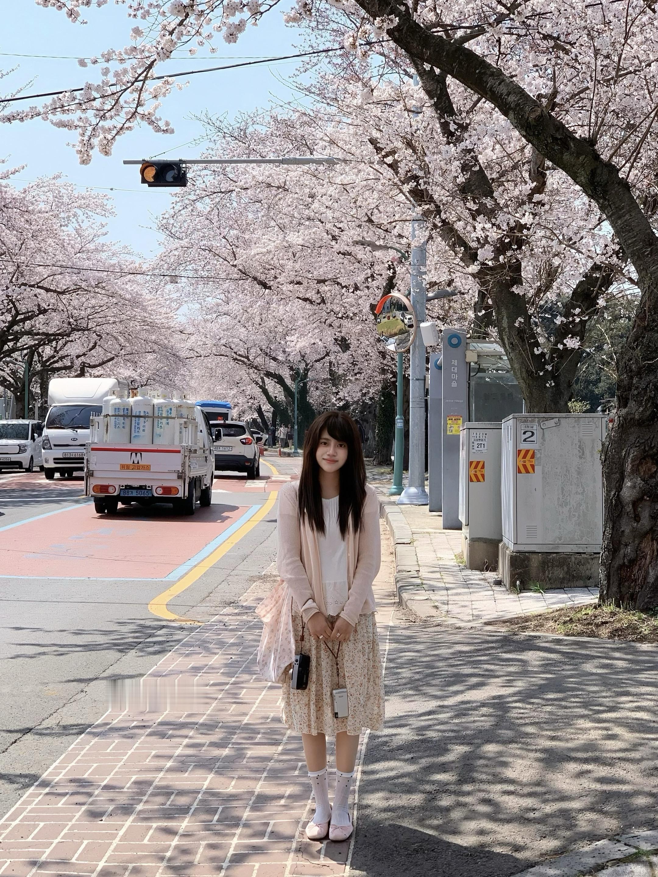 站在樱花树下，拍下幸福的瞬间。这样，我也站在幸福里了。