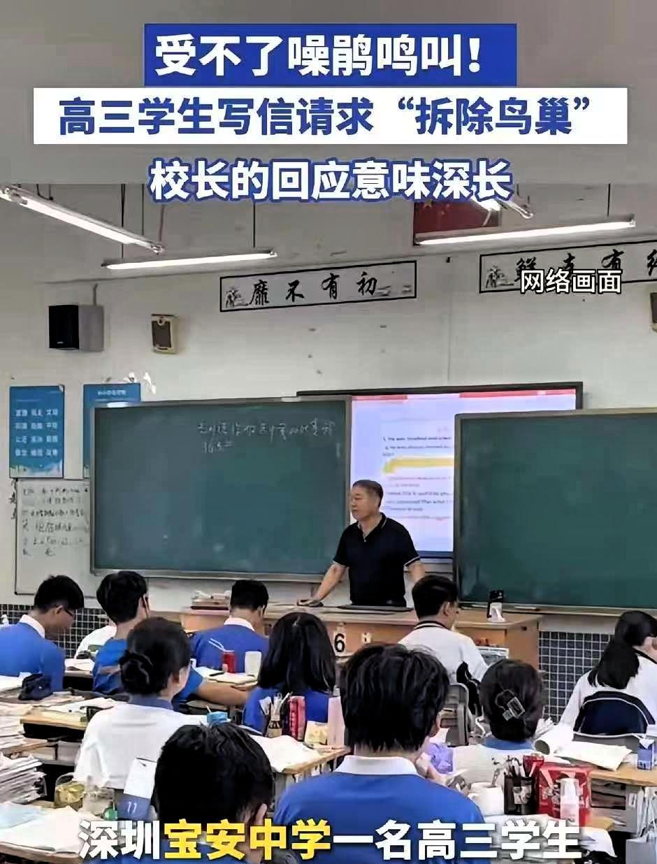 最近，深圳宝安中学有个高三学生，因为学校里的噪鹃鸟整天叫个不停，实在受不了，就写