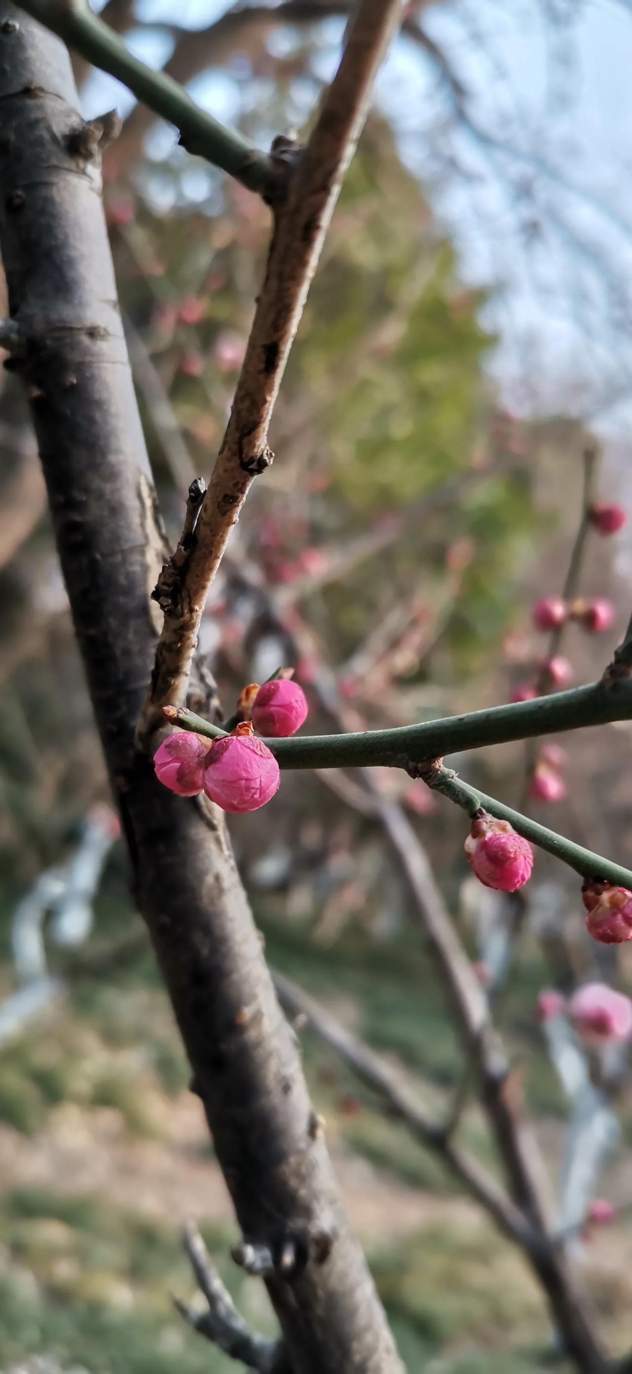 你眼中最美的季节是什么样?