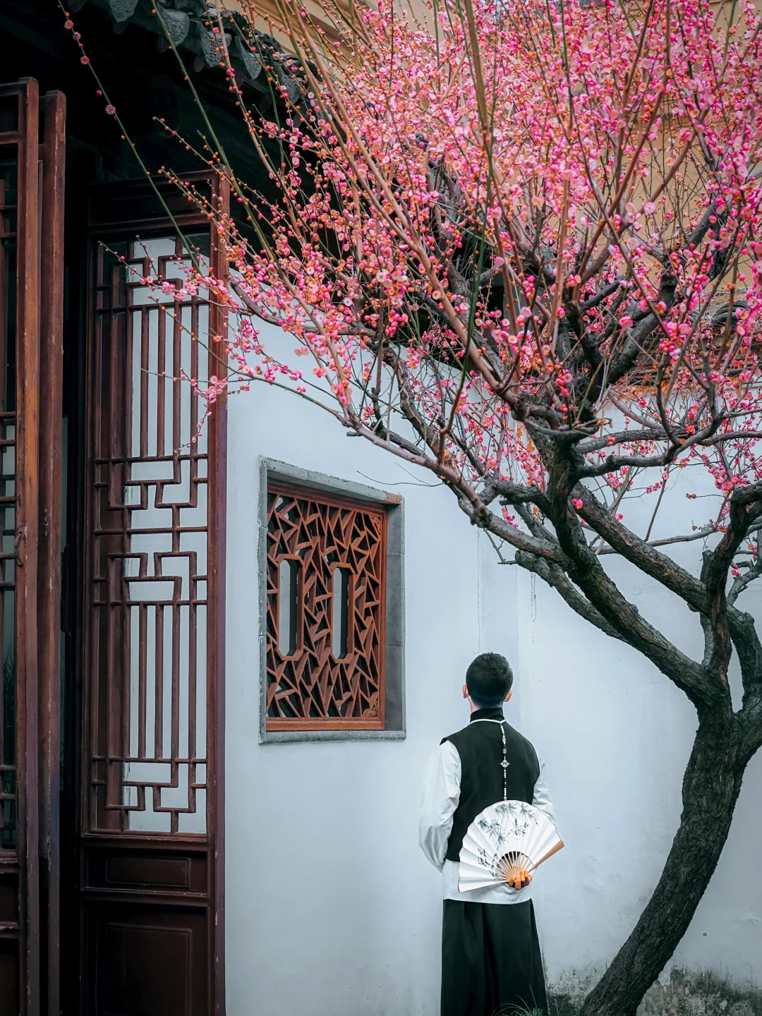 看了沧浪亭梅花，才领悟中式美学是永远的神