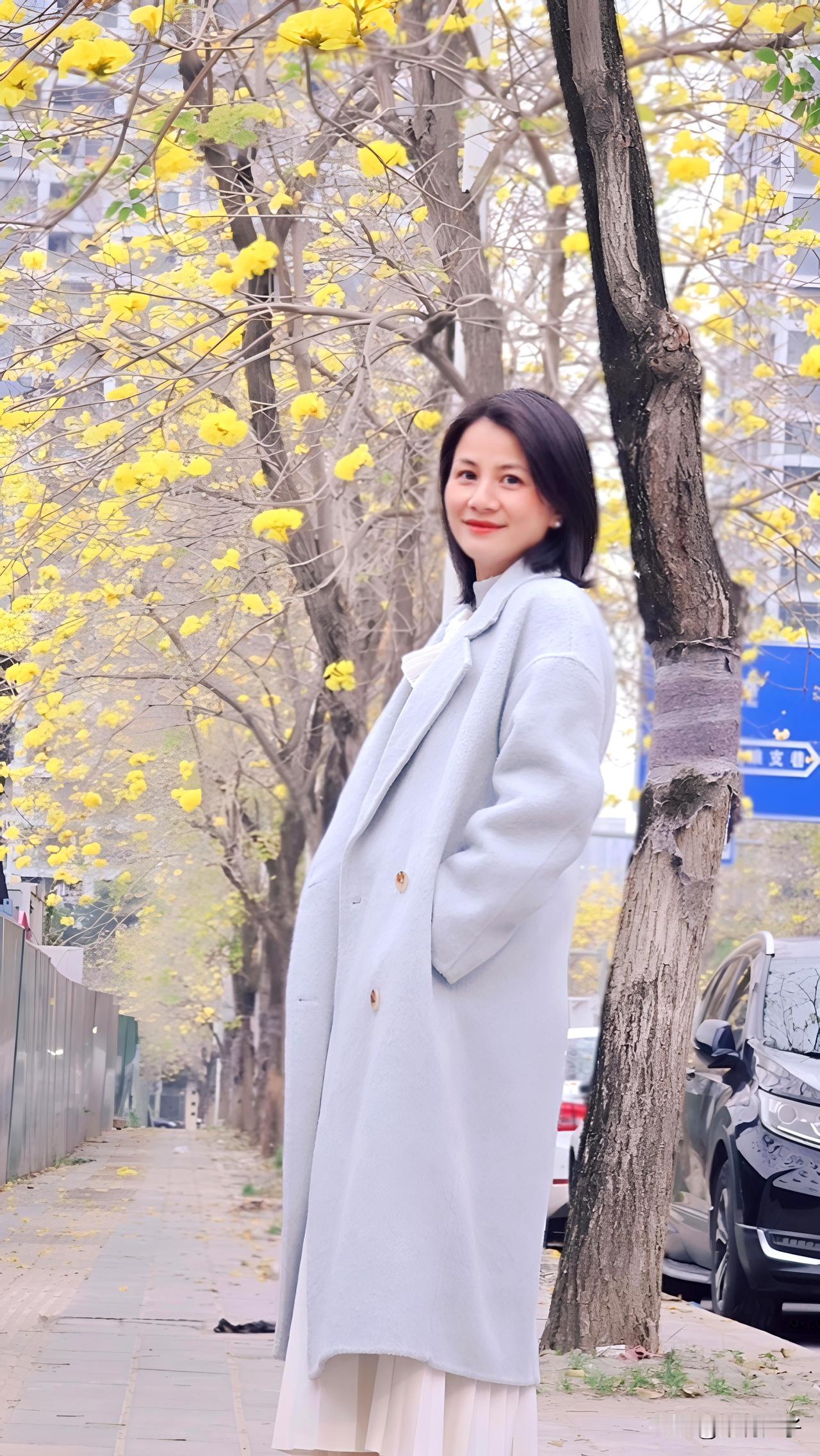 春日花朵一波更比一波旺盛
赏过油菜花、紫罗兰、樱花与羊蹄甲，近来黄花风铃木又缀满