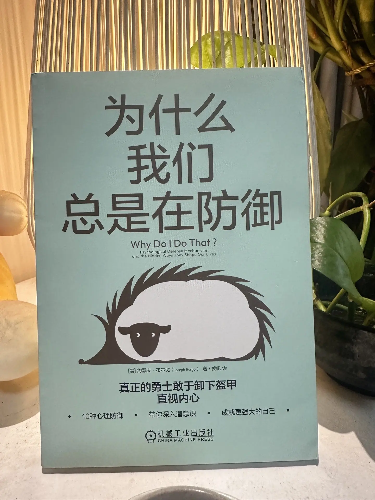 为什么我们， 总是在防御？ 三种常见的心理困扰！