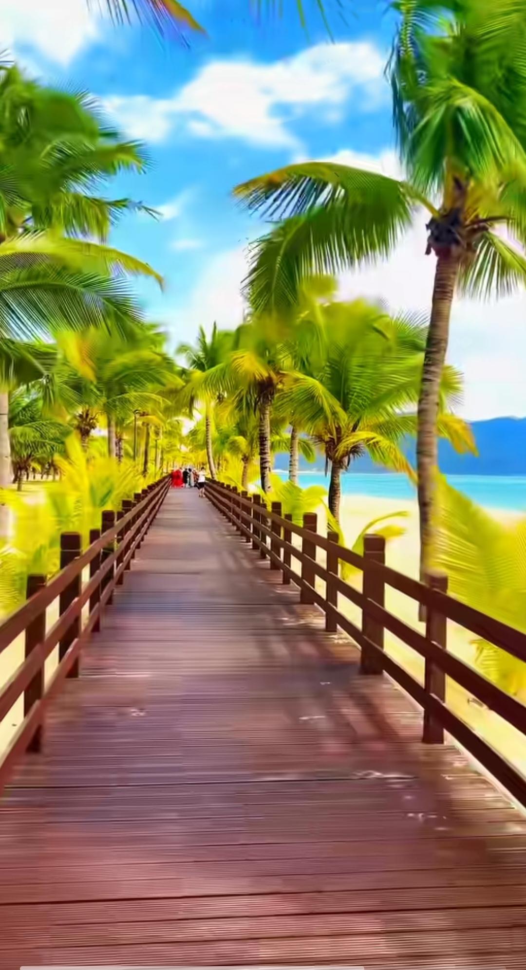 公园🌸🌿随手拍