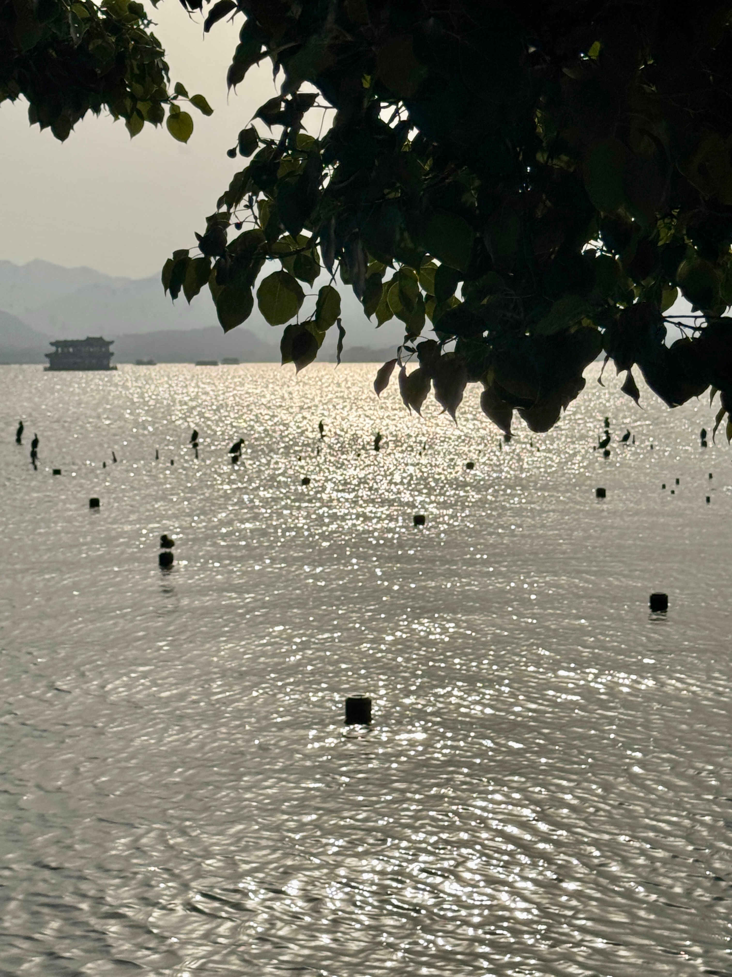 最近和学员一介绍我这从业眼看着都要迈入第十年了突然怎么感觉很上岁数的样子…这就是