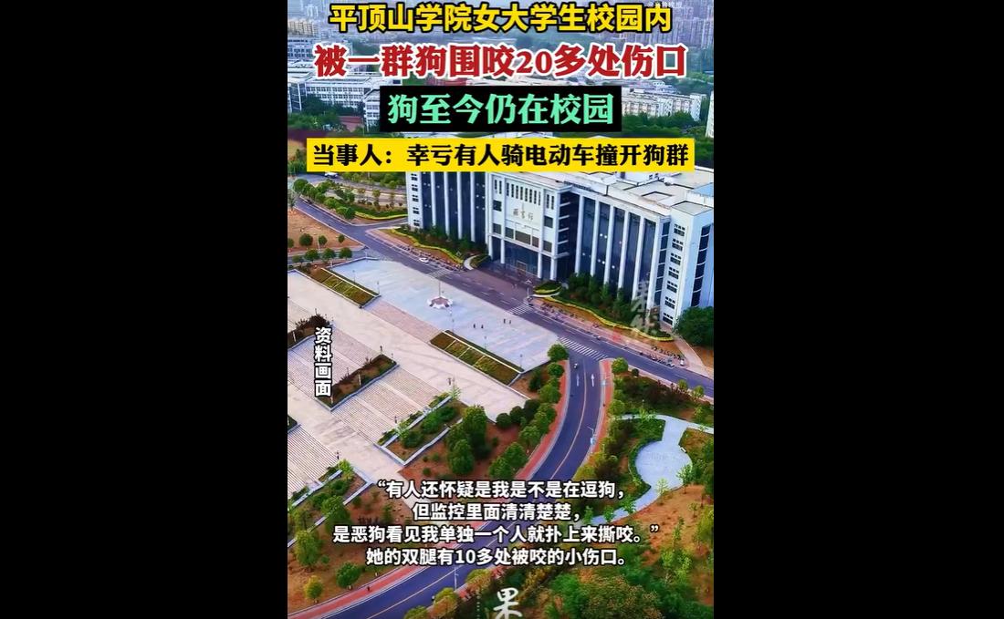 4月19日晚，河南某学院大三女生高同学从图书馆回宿舍时，在校园内被四五只流浪狗围