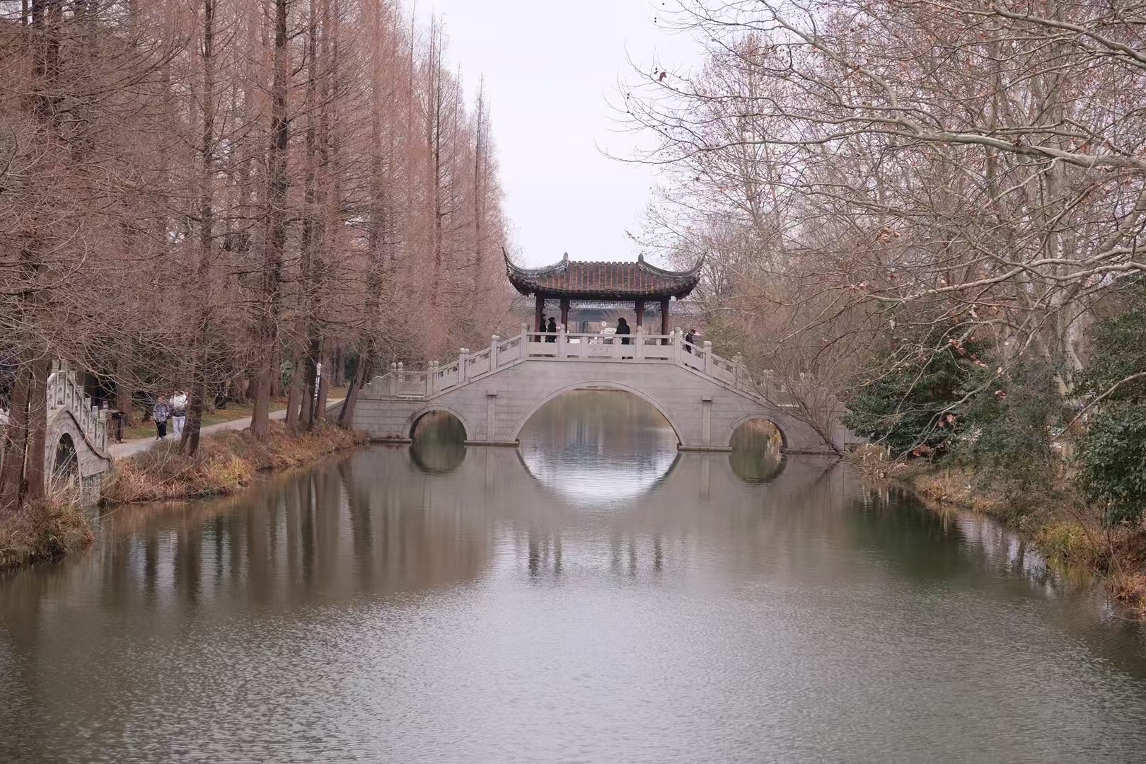海风是它的呼吸，海浪是它的心跳。我走进大海，用手轻抚着大海，随波涛感觉大海的心跳