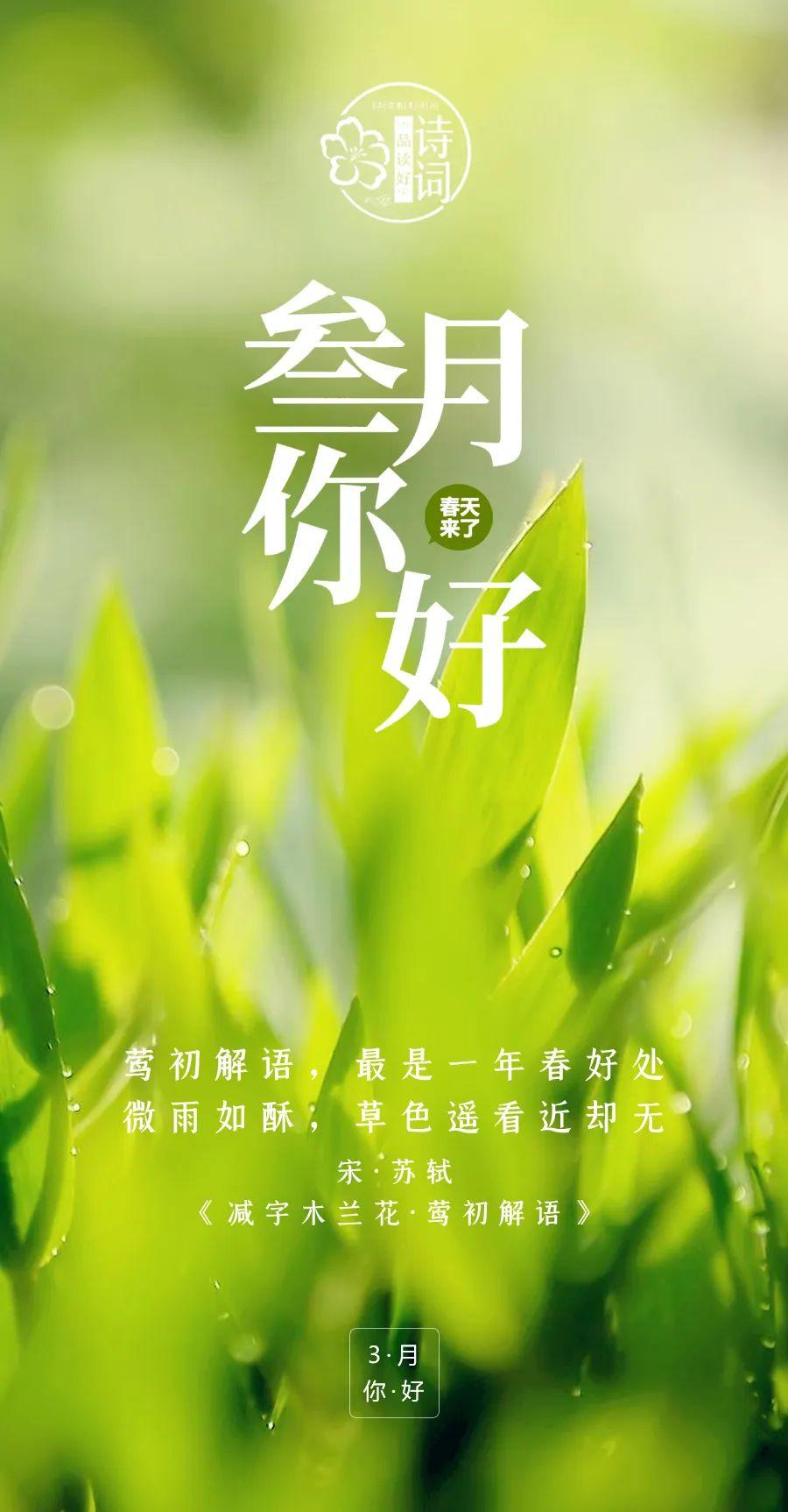 春天，你好！

带着明媚和欣喜
窗外的绿意悄悄爬上枝头
不经意间，春天已至至
在