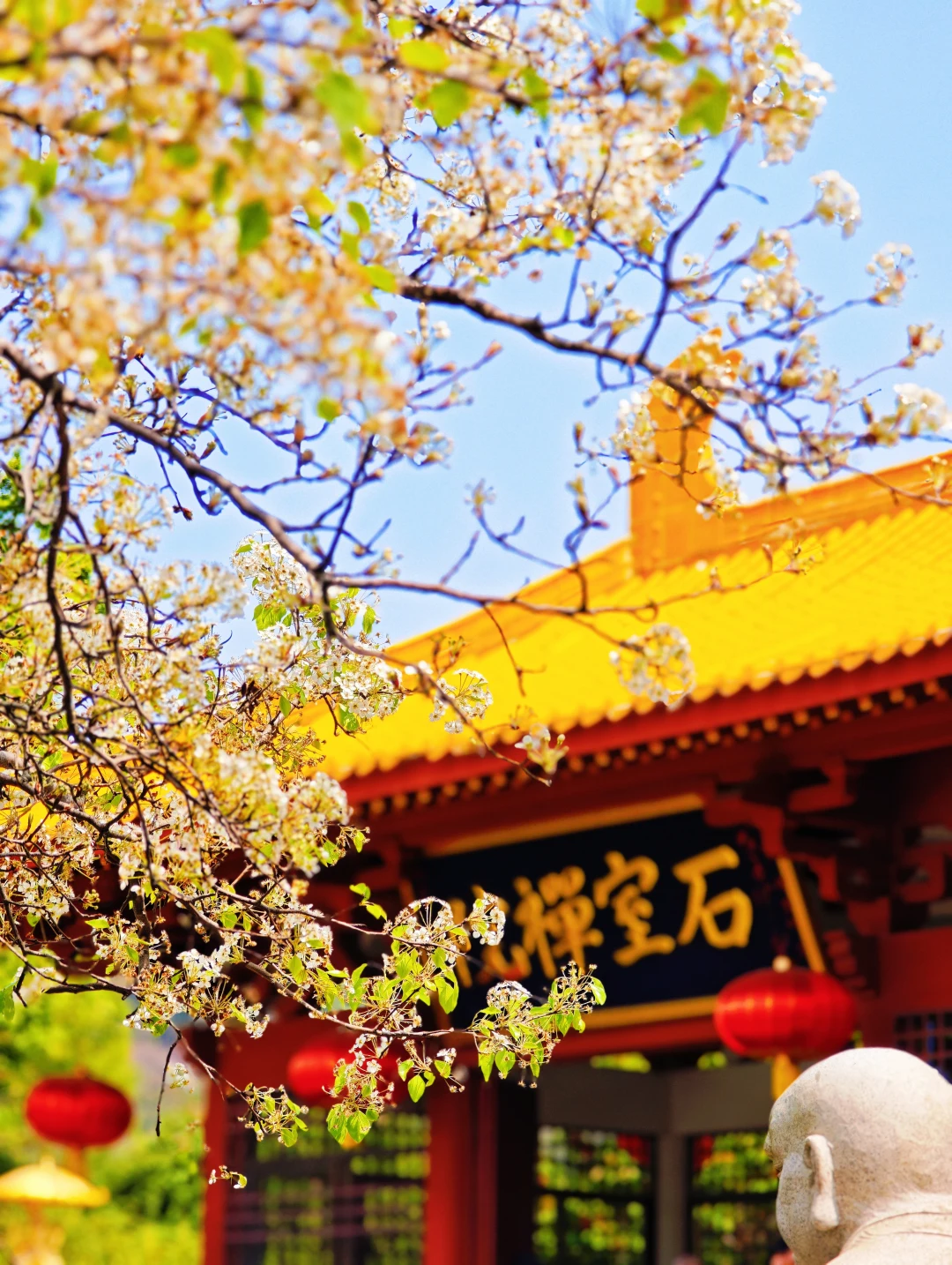石室禅院｜千年古刹的春天，梨花谢了还有…