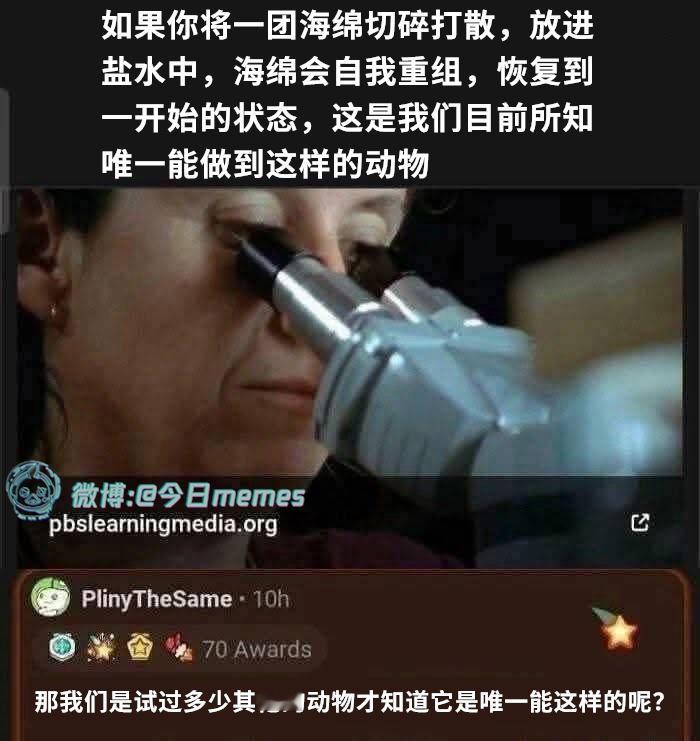 有请挑战者（9gag）今日meme[超话] 今日memes ​​​