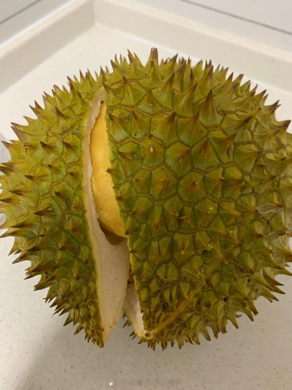 【贴士】 挑榴莲要挑有“肚腩”的，如果从侧面看，榴莲底部呈圆弧状，甚至能看到微微