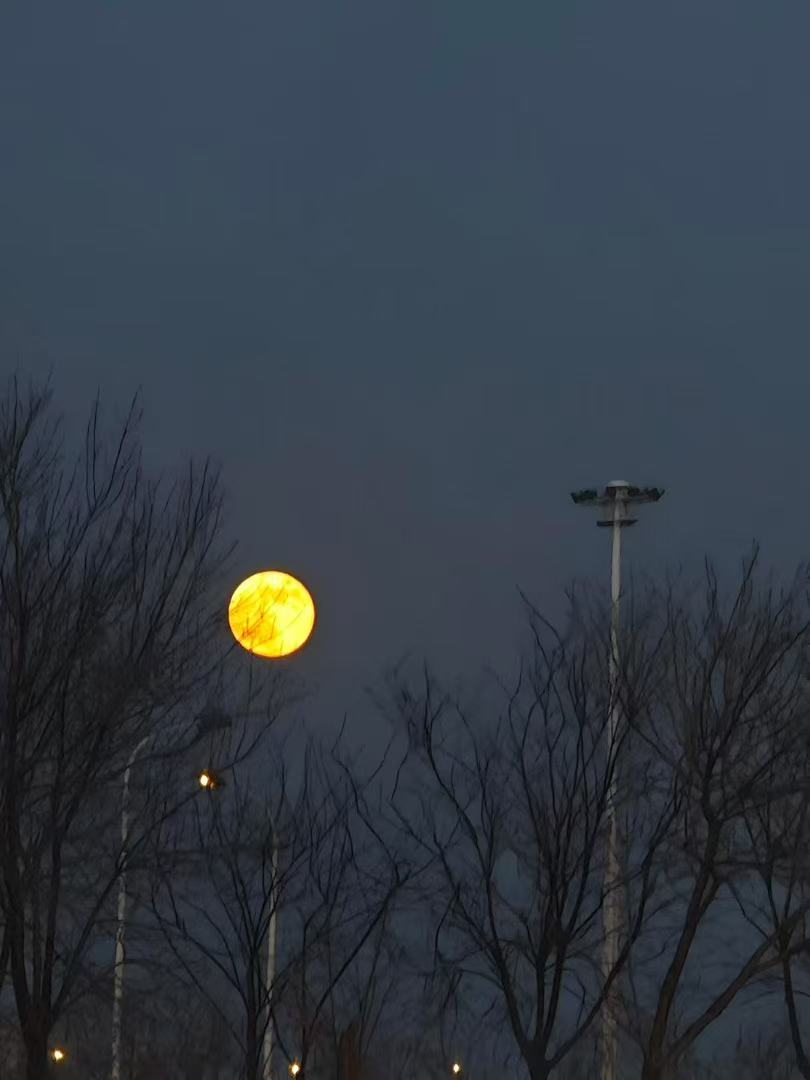 今晚的月亮，真圆啊。 