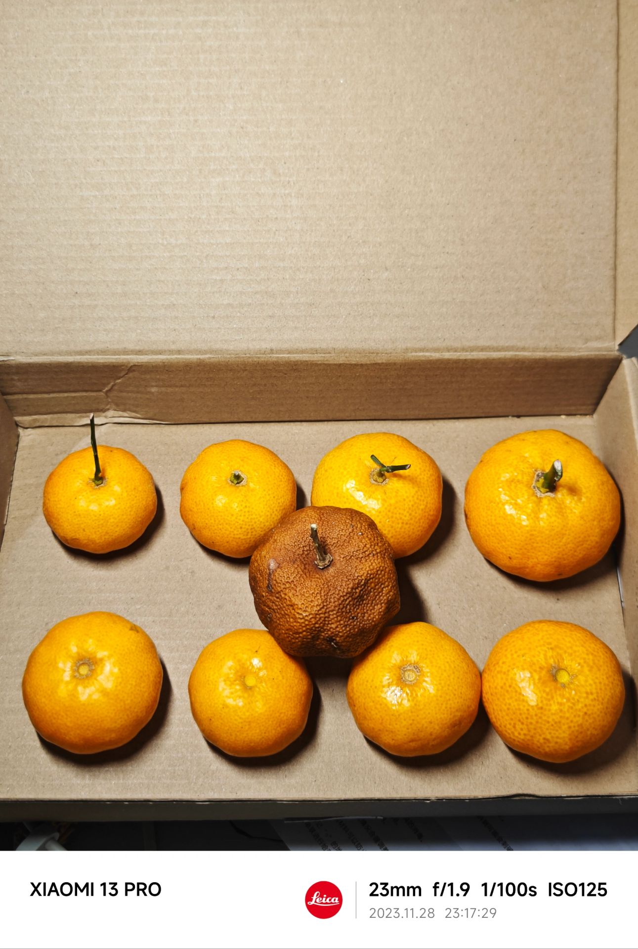 NO.319 开始风干小橘子手捻