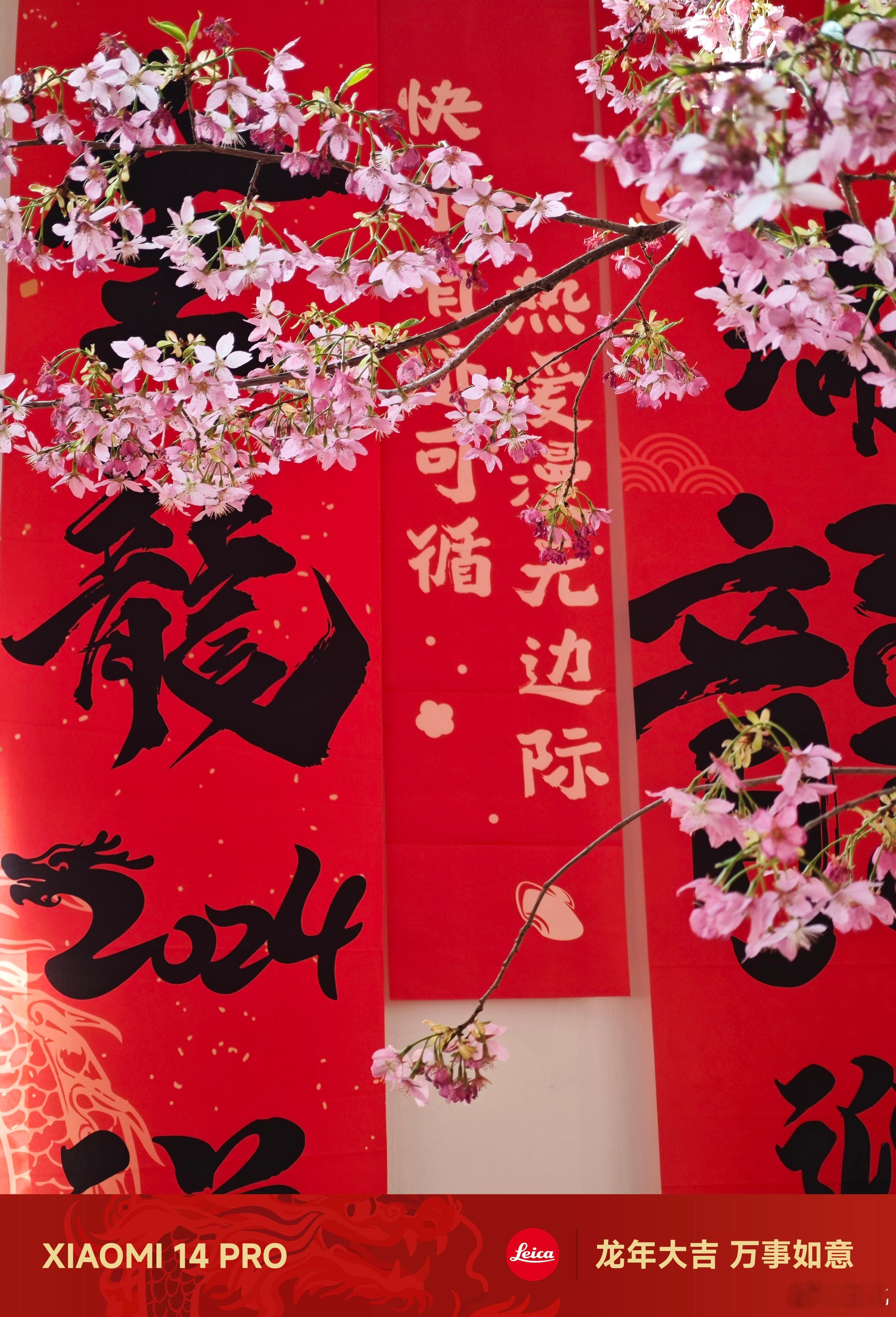 #每天早起打卡#早上好 ​​​