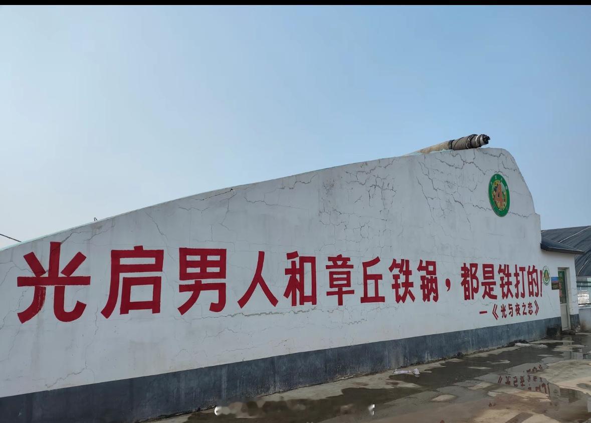 好哇，今年过年回家就跟爸妈说，你们有了一个支持乡村振兴的好女婿[酷]#光与夜之恋