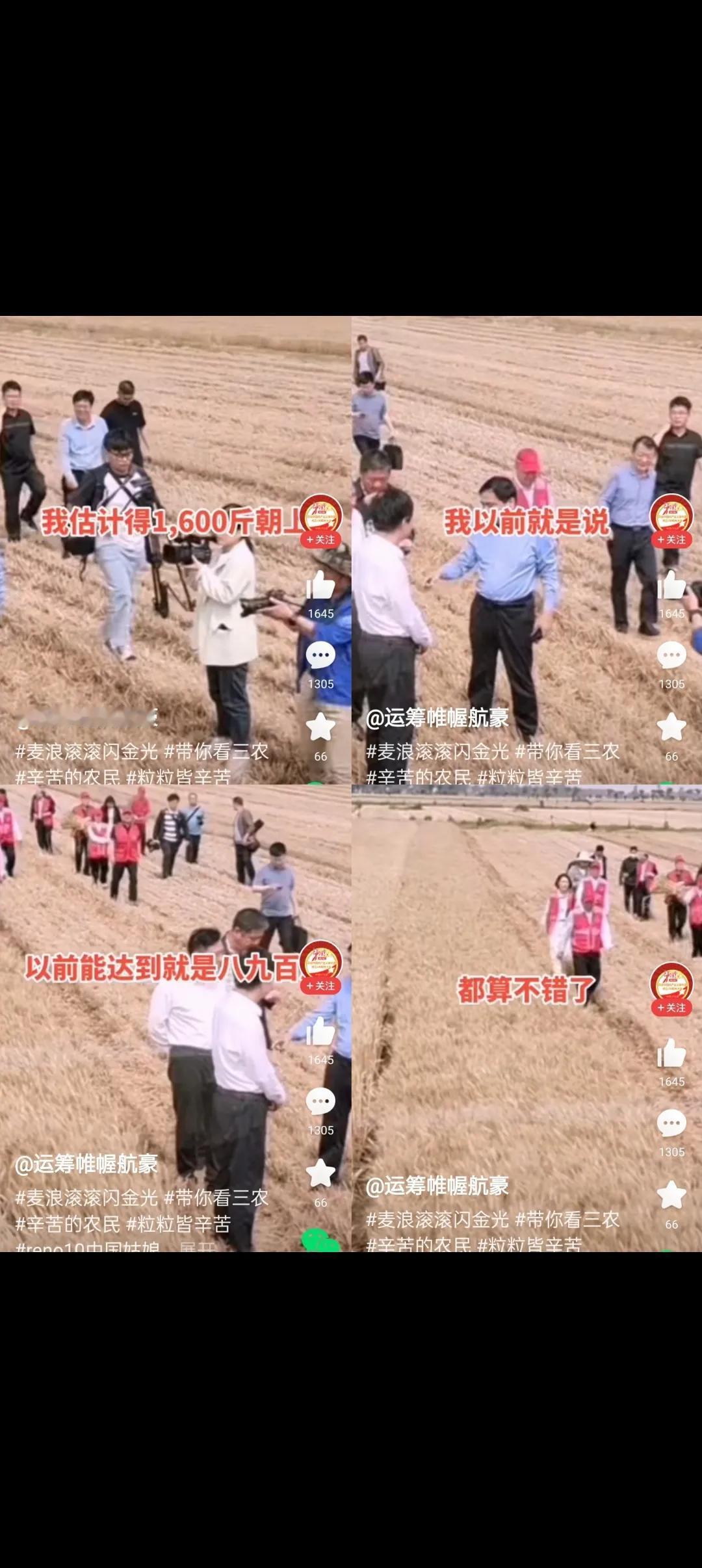 朱之文说了句大实话，他说：今年用了施某丰复合肥，往年只有八九百斤的亩产，今年16