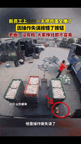 “人怎么能闯这么大的祸！”近日，一条监控视频火了，山东威海，一新员工到仓库去搬鸡