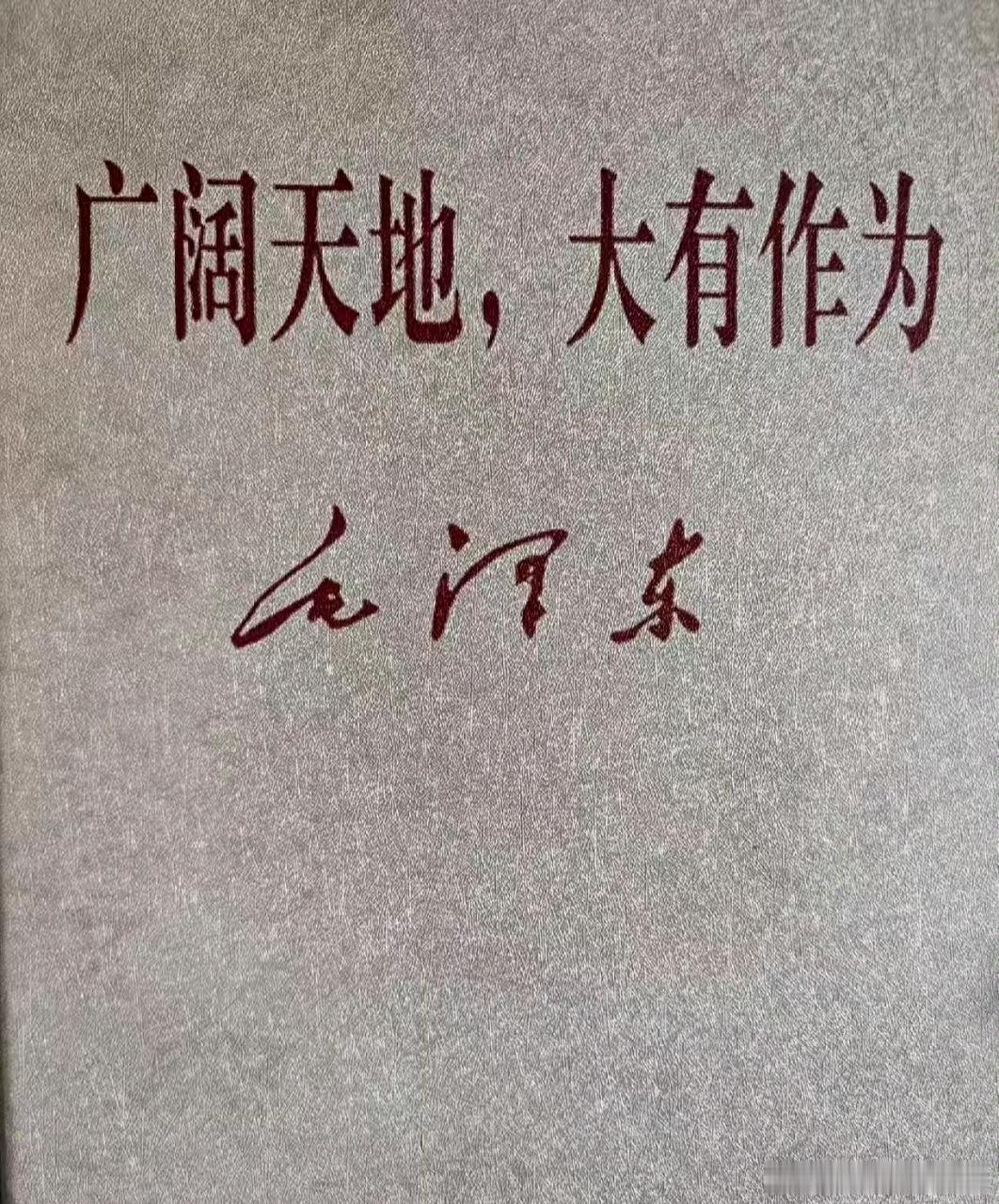 早上好，又是美好的一天，广阔天地，大有作为。生命树 原来昨晚白椿的这句话是有出处