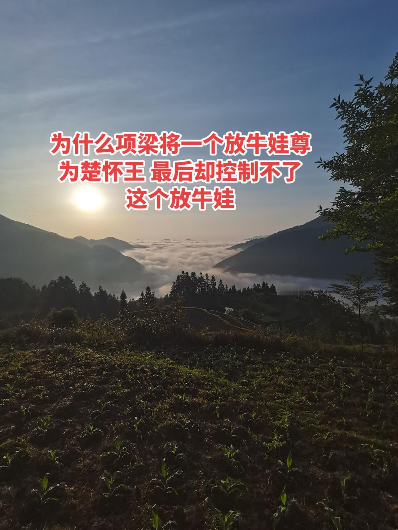 熊心是楚国王室后裔：他是战国时期楚怀王（芈槐）之孙，楚国虽亡于秦（前223年），