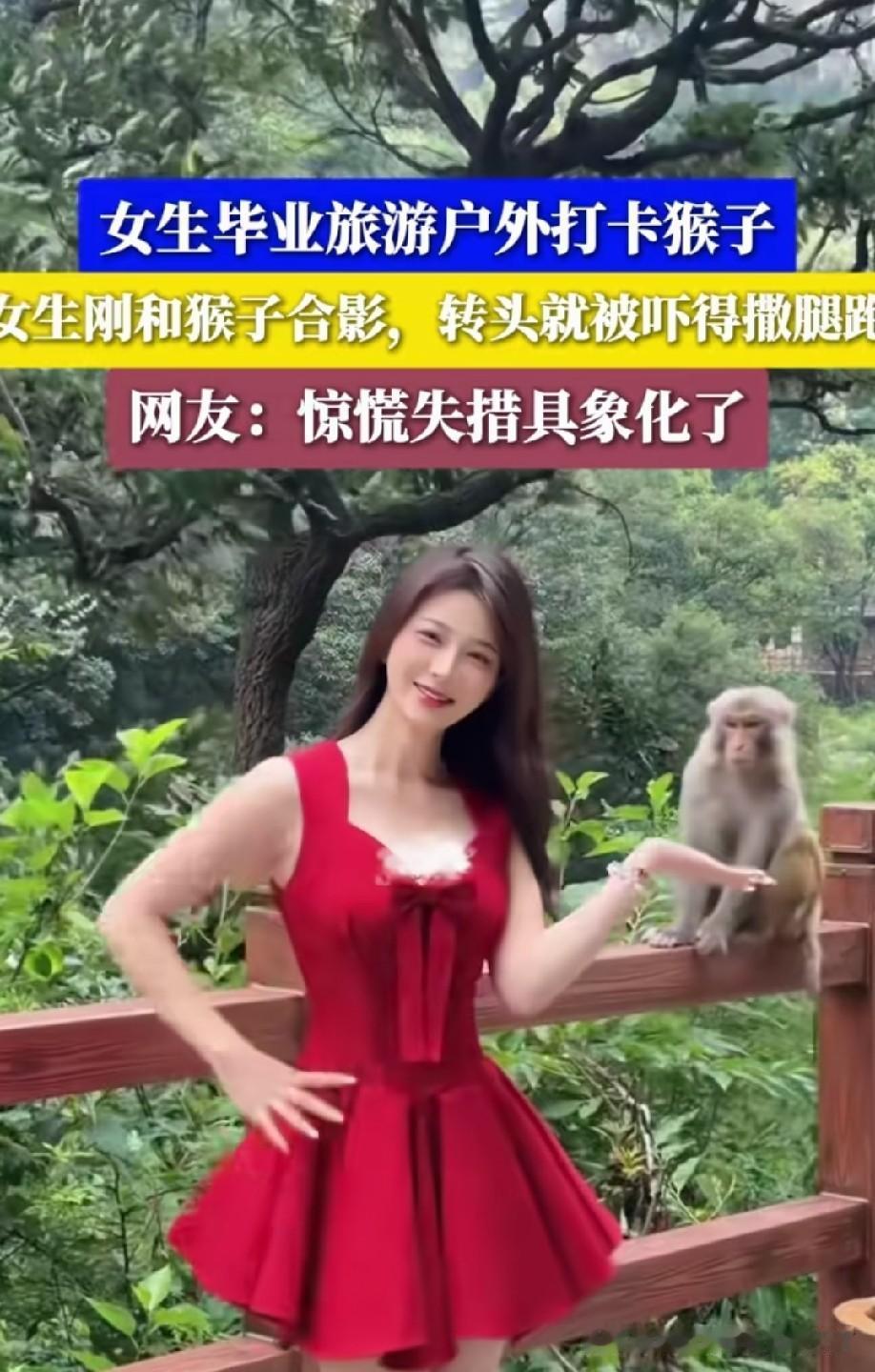 悟空:别跑，妖精！拍了照就跑，原来你是白骨精啊[偷笑]