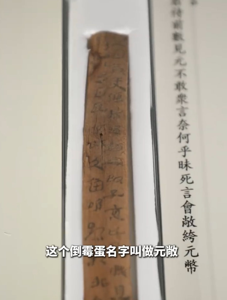 以照顾父亲为由实现提前退休梦丝路万里一路向前谁能想到？甘肃出土的6万枚简牍，竟是