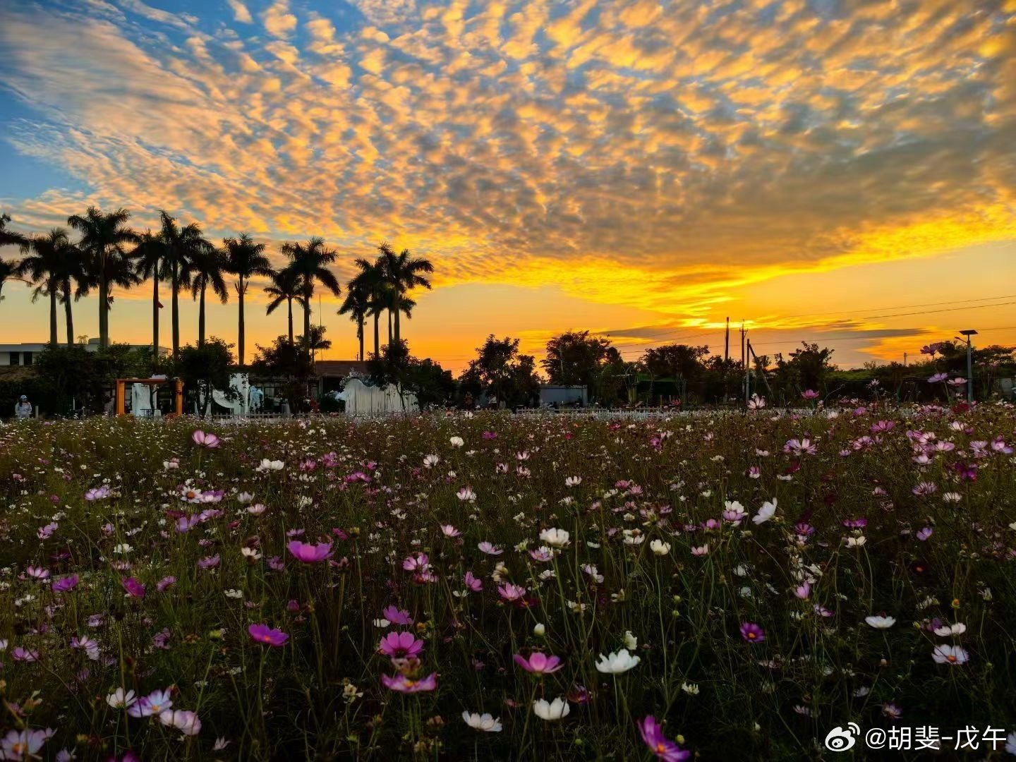 计划你的交易，交易你的计划 