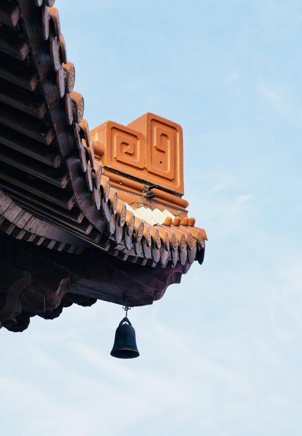 春风拂镜湖，一城江南色，芜湖春日必打卡

🤩春天的芜湖镜湖公园，是藏在市中心的