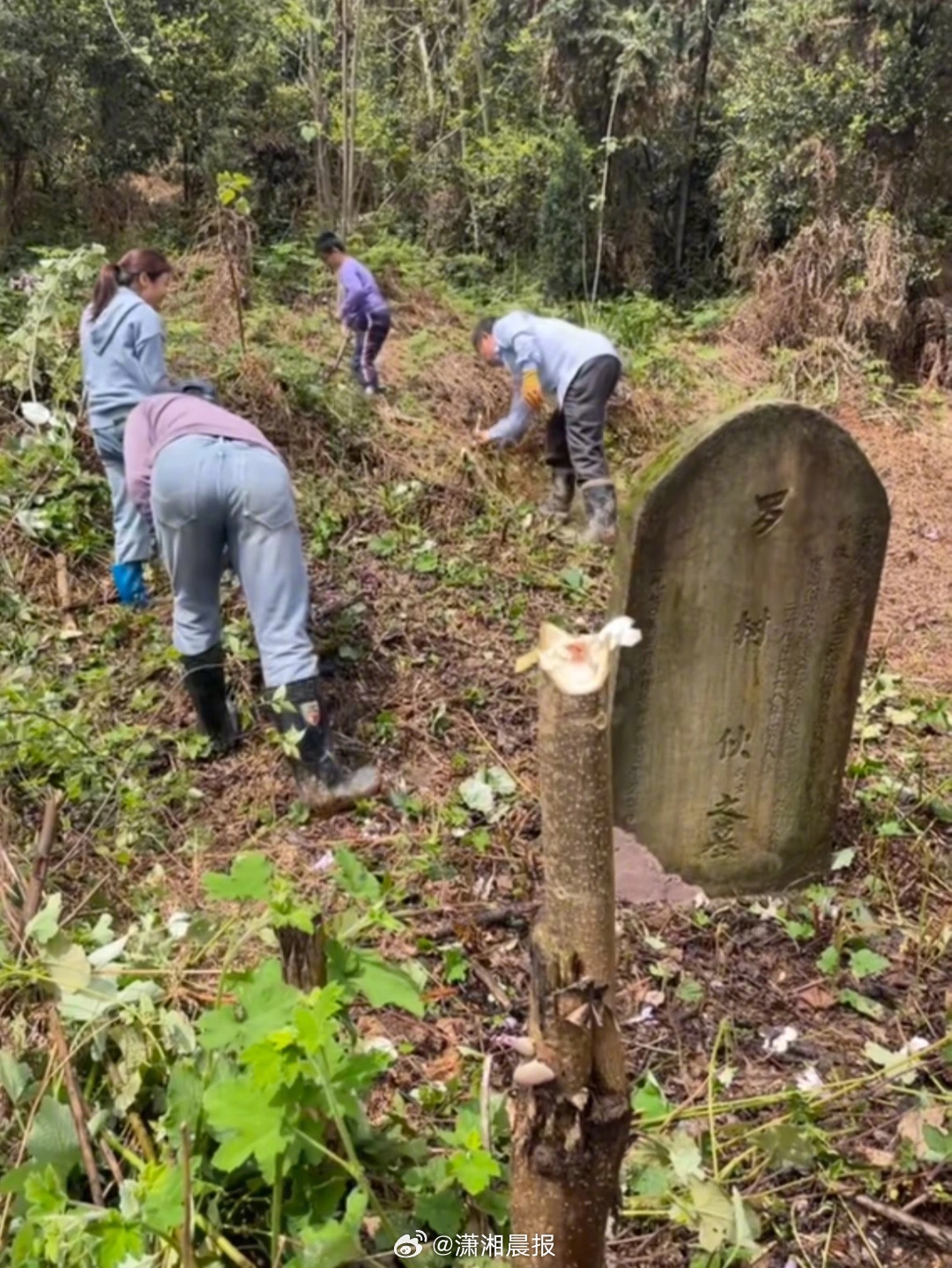 【郴州#小伙为葬在荒山24岁烈士扫墓十年#，#烈士家乡回应小伙为葬荒山烈士寻亲#