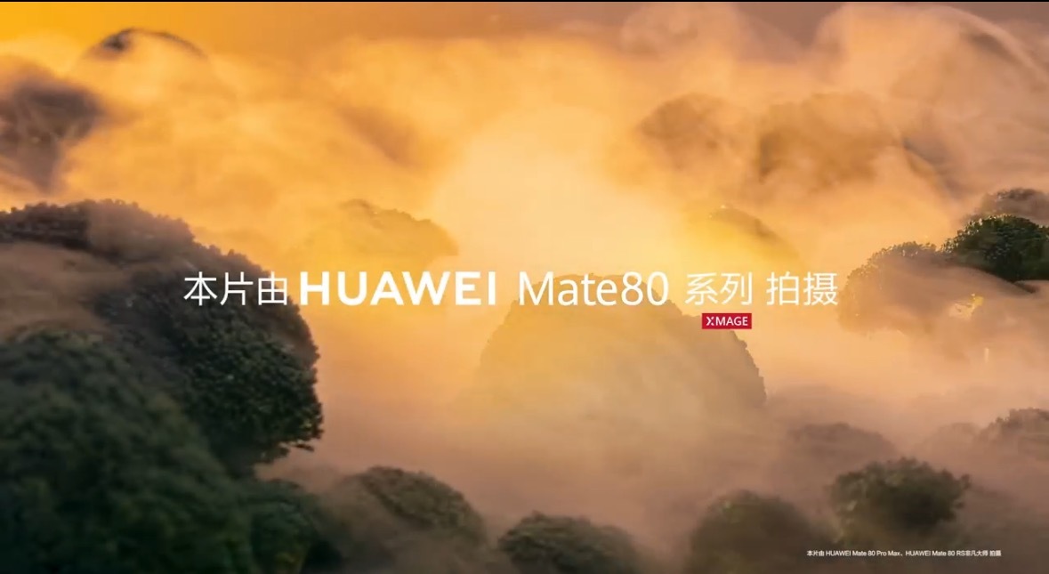 Mate 80的长焦微距也太太太给力了吧！这画面呈现出来的感觉谁看了不说一句牛！