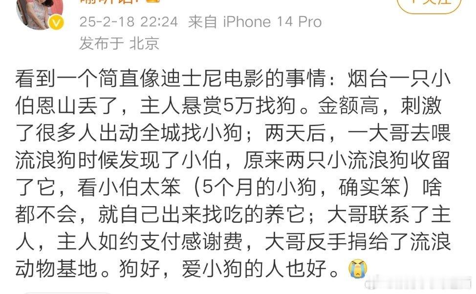 狗好，爱小狗的人也好，希望两只流浪狗狗也能找到家，这世界不能没有小狗。 