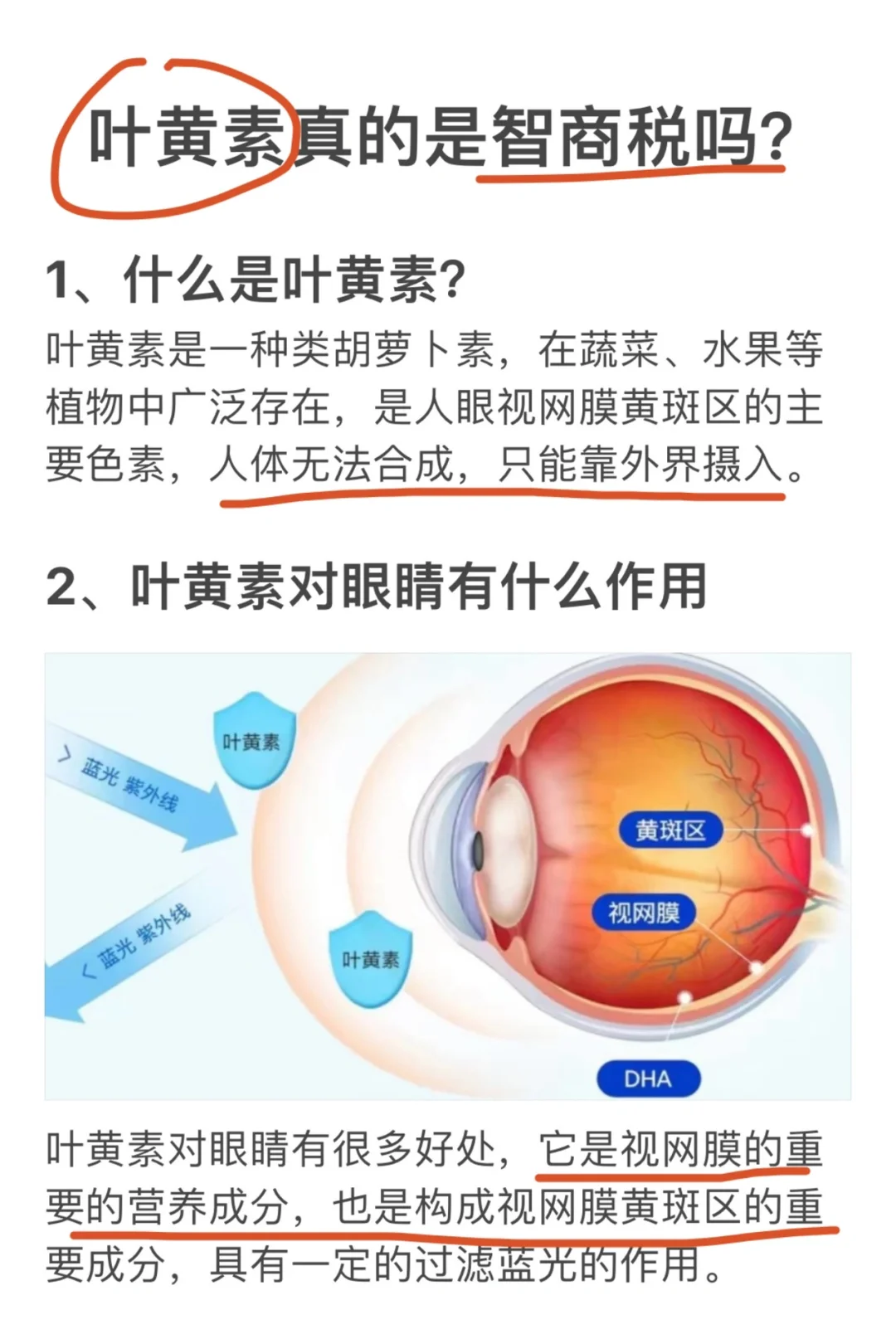 揭秘叶黄素⚠️别让无知而伤害了宝宝的小👀