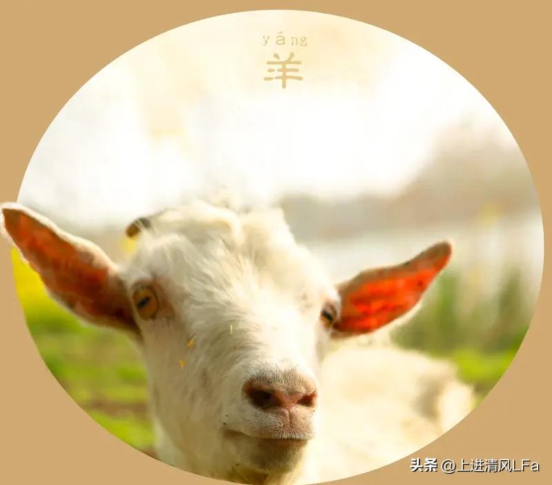 3月白羊和4月白羊有什么区别? 3月白羊和4月白羊虽然都属白羊座，但还是有些区别