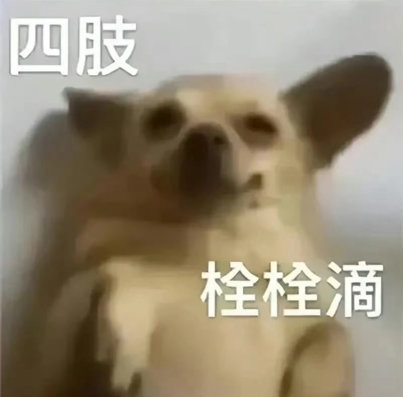 蹲下后一站起来先享受五秒极致黑屏 ​​​