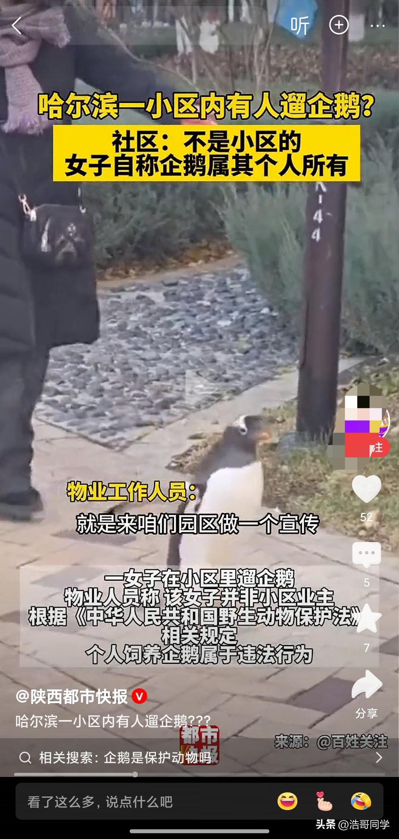 见过遛狗的……见过遛猫的……就是没有见过遛企鹅的……这真的不是腾讯在打广告吗？事