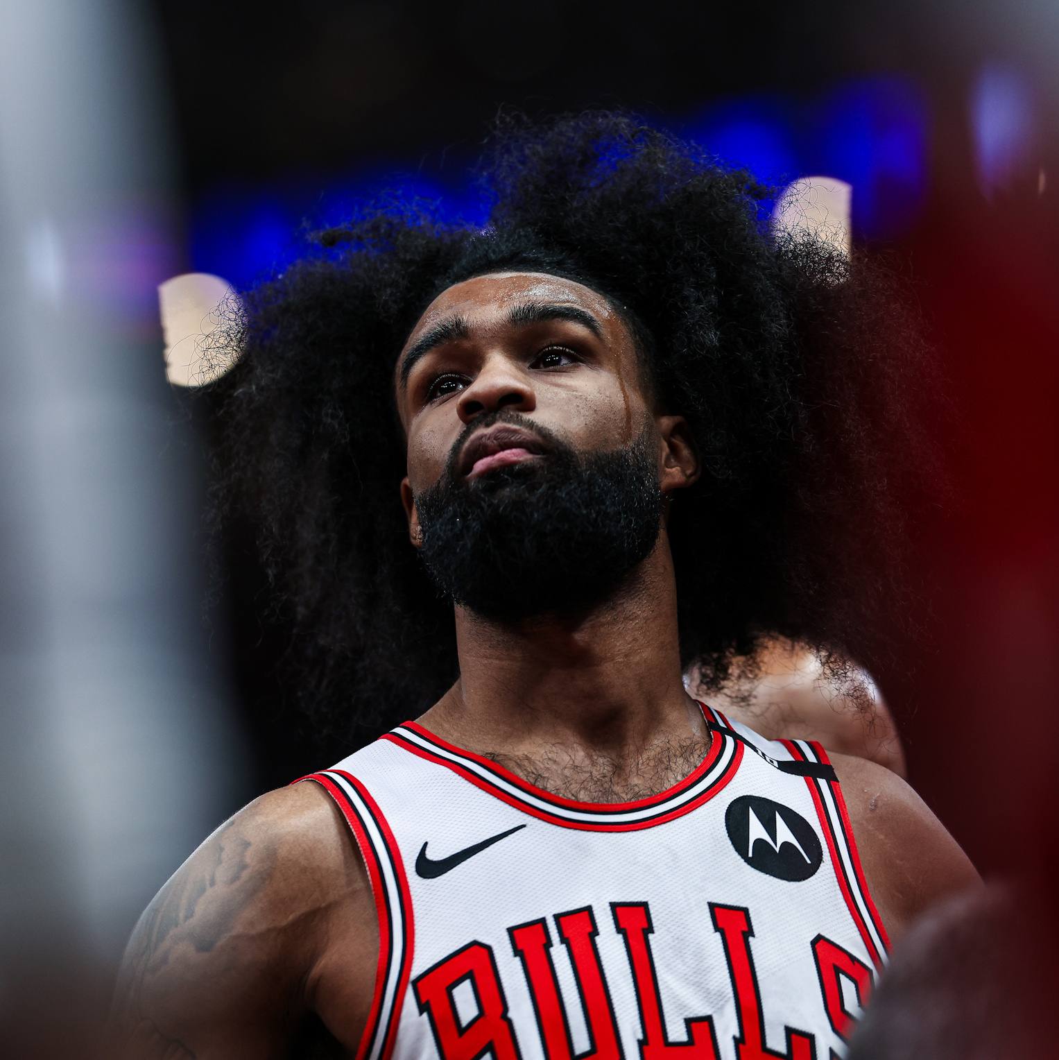 火箭如果有交易筹码，可否考虑一下科比-怀特？公牛现在没怀特也不错，肯定狠狠压价…