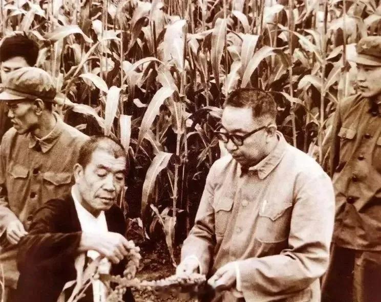 1977年，山西。华同志到大寨检查农业生产。 ​​​