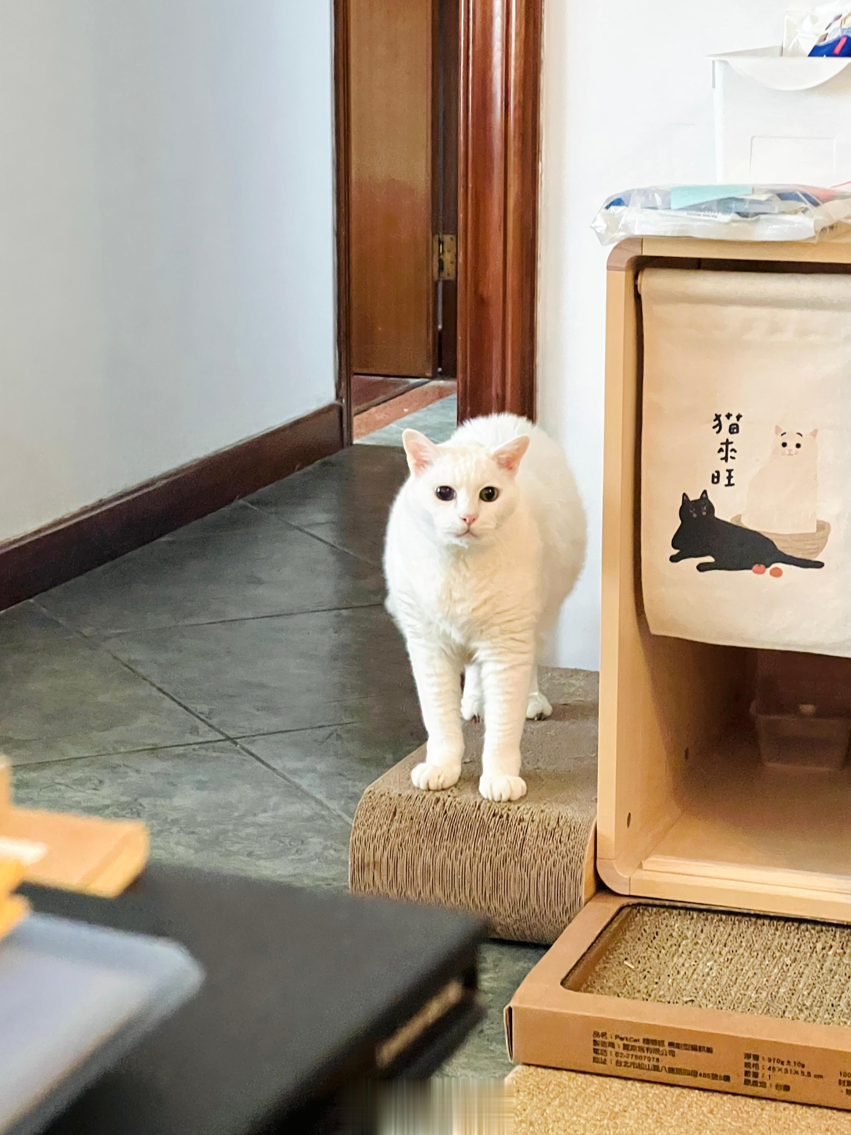 春風少年兄。 ​​​