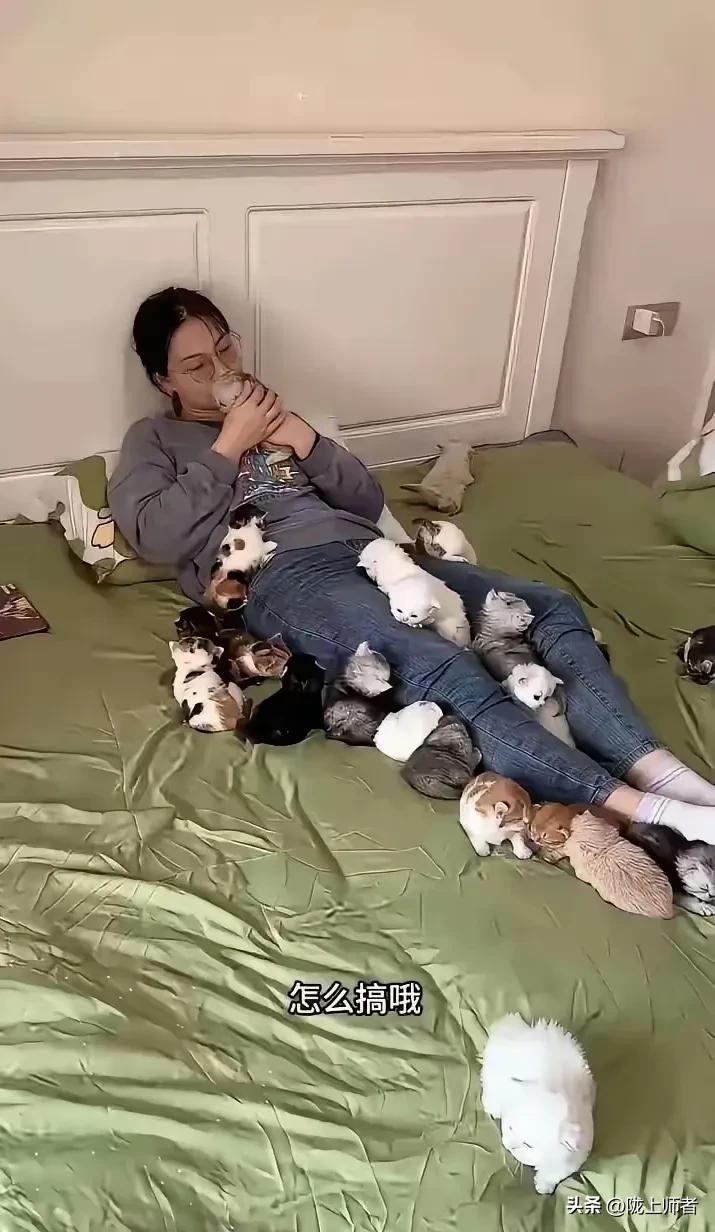 8万8的彩礼你会和这位爱猫的女孩结婚吗？