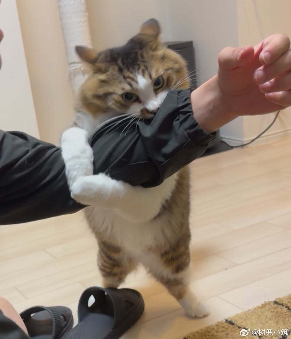 「好了、好了，别看球看得太冲动……」 