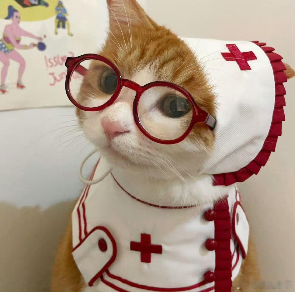 𝐖𝐞𝐂𝐡𝐚𝐭头像｜背景图𝐒𝐡𝐚𝐫𝐞 可爱头像 | 九宫格|