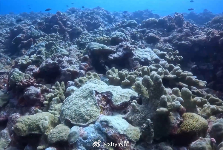 不错 支持 黄岩岛国家级自然保护区 ​​​