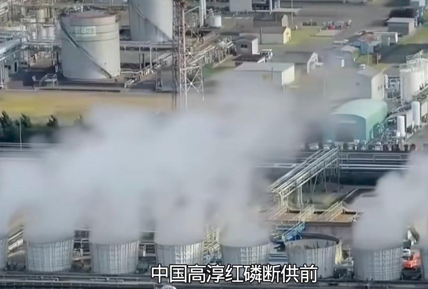 不得不承认，之前确实有点小瞧了日本，没想到它手里能打的牌还挺多的。

现在有很多