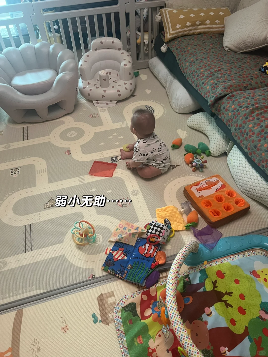 每天上班前看到崽😭