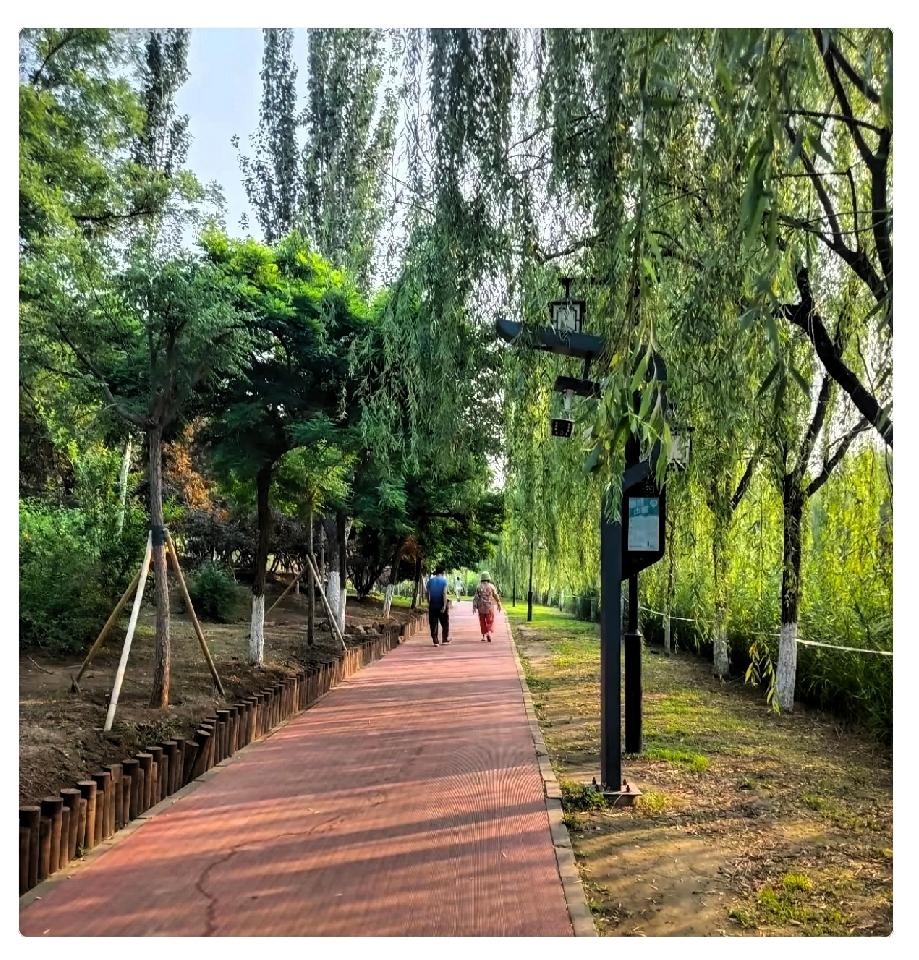 发现一个奇怪的现象 ，
就是许多得了糖尿病的人，无论是男人还是女人，两条腿会变得
