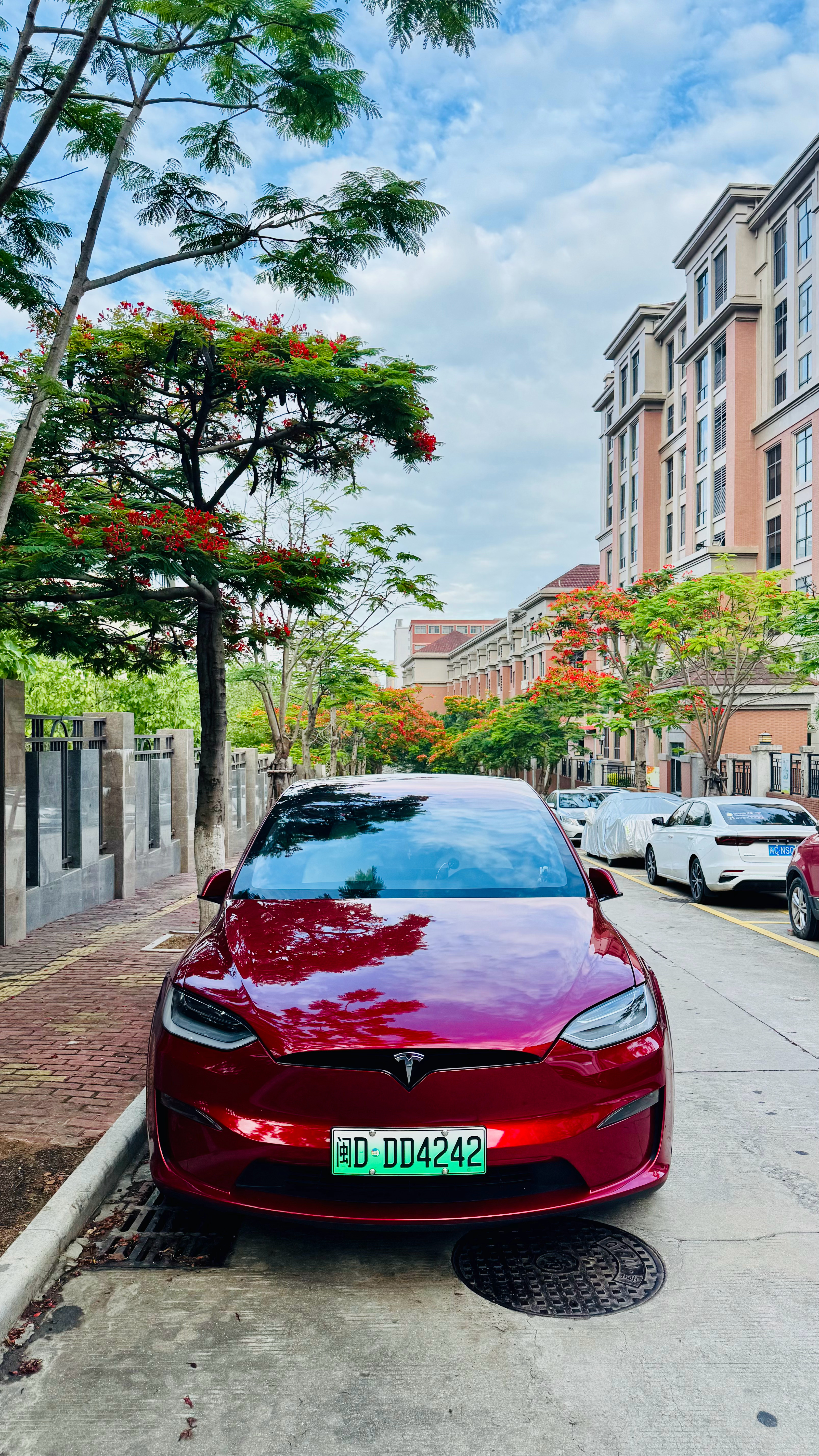 凤凰花的季节特斯拉 Model X ​​​