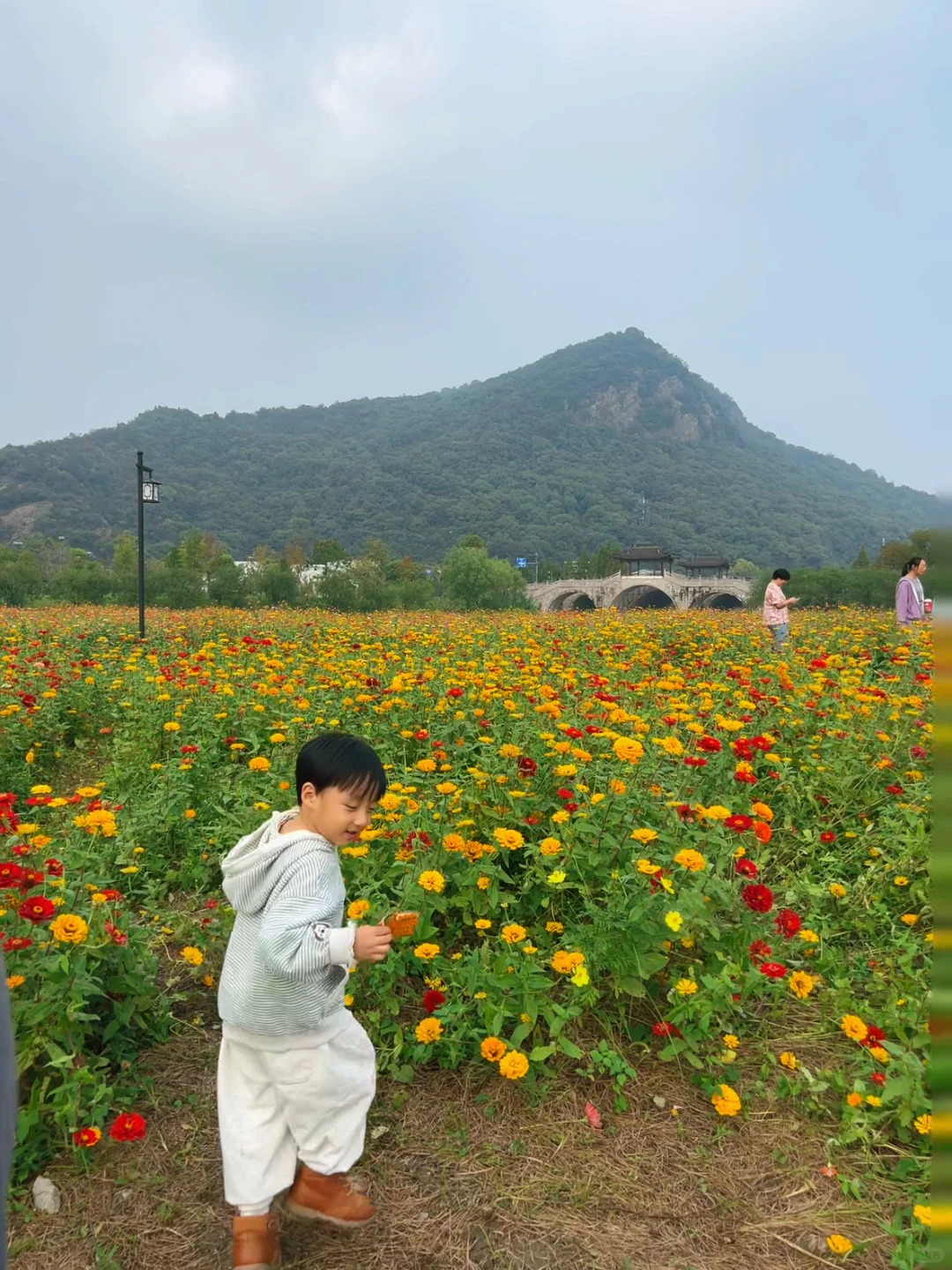 萧山亲子游｜看过湘湖花海，上海的花不香了..